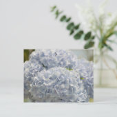 Blue Hydrangeas Postkarte (Stehend Vorderseite)