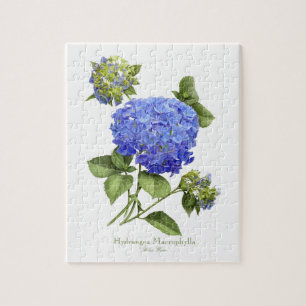 Blue Hydrangeas Puzzle