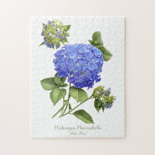 Blue Hydrangeas Puzzle