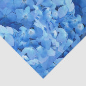 Blue Hydrangeas Real Blume Seidenpapier (Ausschnitt)