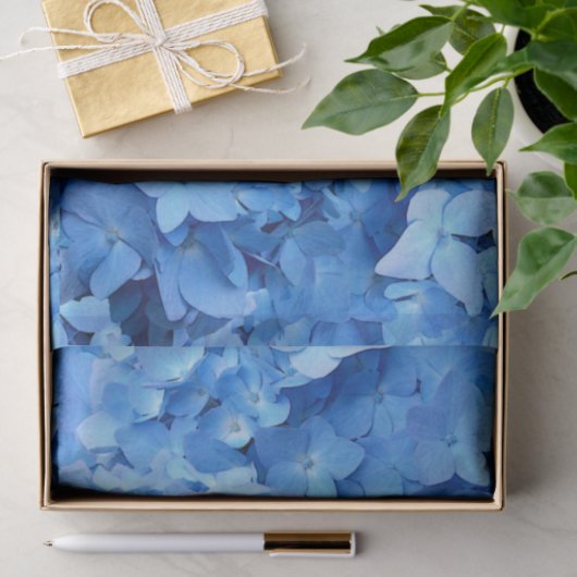 Blue Hydrangeas Real Blume Seidenpapier (Geschenk)
