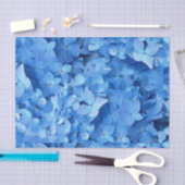 Blue Hydrangeas Real Blume Seidenpapier (Handwerk)