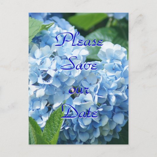 Blue Hydrangeas Rettete unsere Datums-Postkarte -  Einladungspostkarte (Vorderseite)