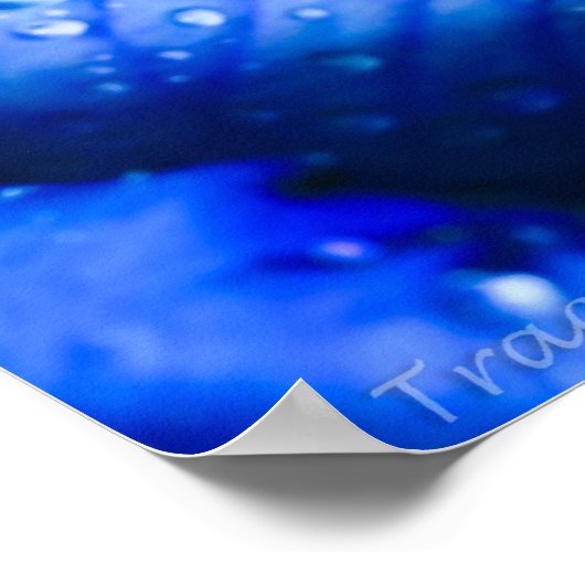 Blue Ice Rose Poster (Ecke)