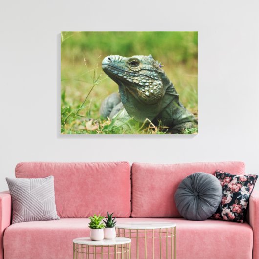 Blue Iguana Leinwanddruck (Insitu (Wohnzimmer))