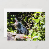 Blue Iguana Postkarte (Vorne/Hinten)
