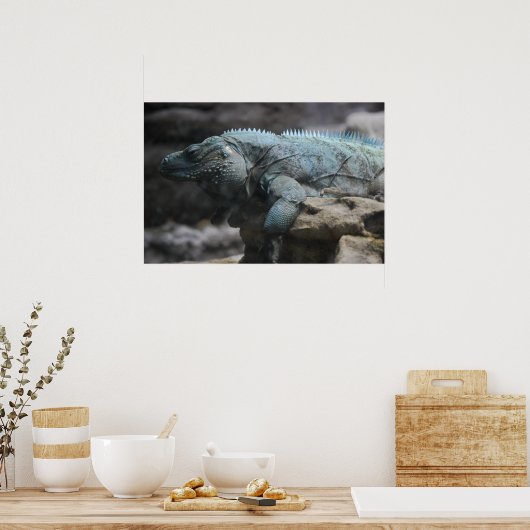 Blue Iguana Print Poster (Küche)