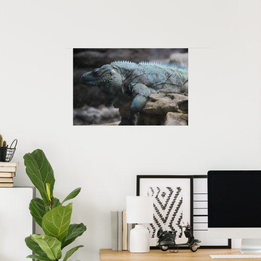 Blue Iguana Print Poster (Heimbüro)