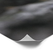 Blue Iguana Print Poster (Ecke)