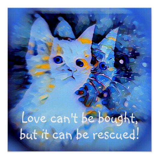 Blue Impressionist Style Kitten Rescue Liebe Quote Poster (Vorderseite)