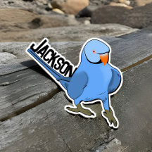 Blue Indian Ringneck Parrot Pet Bird Name Niedlich