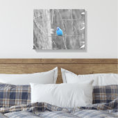 Blue Indigo Bird Leinwanddruck (Insitu (Schlafzimmer))