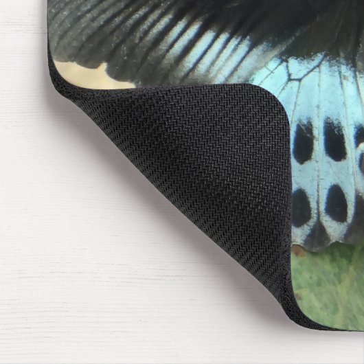 Blue Iridescent Mormon Butterfly Mousepad (Ecke)