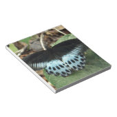 Blue Iridescent Mormon Butterfly Notizblock (angewinkelt)
