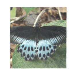 Blue Iridescent Mormon Butterfly Notizblock