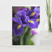 Blue Iris Blume Bouquet Karte (Vorderseite)