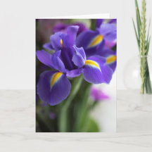 Blue Iris Blume Bouquet