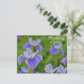 Blue Iris Blume Denken Sie an Sie Postkarte (Stehend Vorderseite)