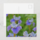 Blue Iris Blume Denken Sie an Sie Postkarte (Vorne/Hinten)