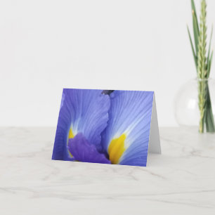 Blue Iris Blume - Details Mitteilungskarten