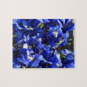 Blue Iris Blume im Garten Puzzle (Horizontal)