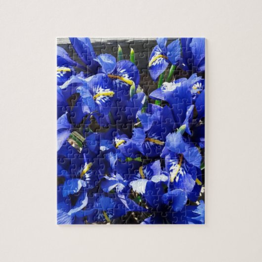 Blue Iris Blume im Garten Puzzle (Vertikal)