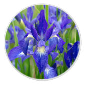 Blue Iris Blume Knob Keramikknauf (Vorderseite)
