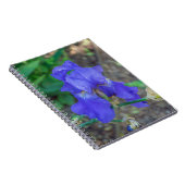 Blue Iris Blume Notebook Notizblock (Rechte Seite)