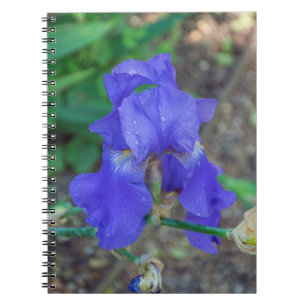 Blue Iris Blume Notebook Notizblock
