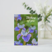 Blue Iris Blume Portrait Denken Sie an Sie Postkar Postkarte (Stehend Vorderseite)