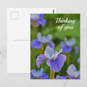 Blue Iris Blume Portrait Denken Sie an Sie Postkar Postkarte (Vorne/Hinten)