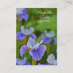 Blue Iris Blume Portrait Save the Date Begleitkarte
