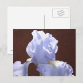 Blue Iris Blume Postkarten Irische Blume Text hinz (Vorne/Hinten)