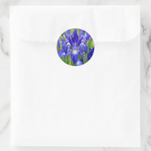Blue Iris Blume Stickers (Tasche)