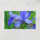 Blue Iris Blume Visitenkarte (Rückseite)