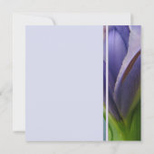 Blue Iris Bridal Dusche Einladung (Rückseite)