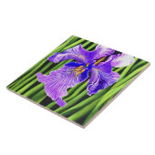 Blue Iris Decorative Keramik Tiles Fliese (Seite)