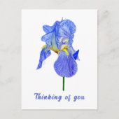 Blue Iris Denken Sie an Sie Postkarte (Vorderseite)