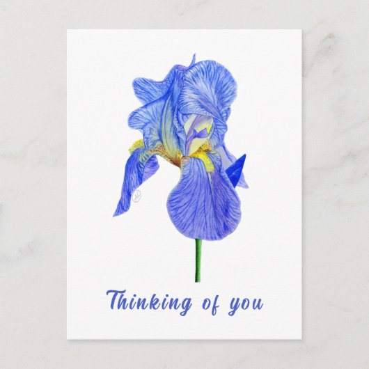 Blue Iris Denken Sie an Sie Postkarte (Vorderseite)