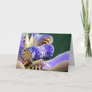Blue Iris floral Geburtstagskarte Karte