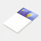 Blue Iris Flower 4x6 Post-It Notes Klebezettel (angewinkelt)