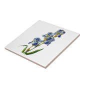 Blue Iris Gezeichnet von Gerard van Spaendon aus d Fliese (Seite)