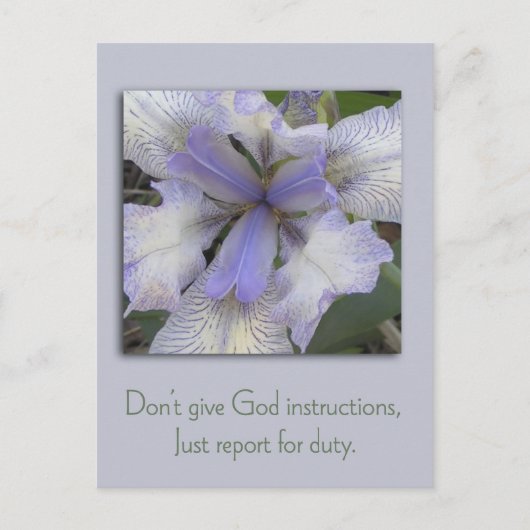 Blue Iris Inspiration Postcard Postkarte (Vorderseite)
