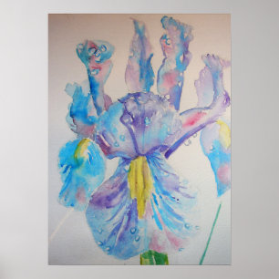 Blue Iris Irises Blumenposter Blume Poster