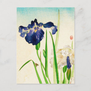 Blue Iris - Japanischer Aquarelldruck Postkarte