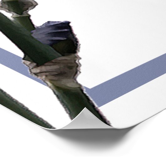 Blue Iris / Just Married Sign Poster (Ecke)