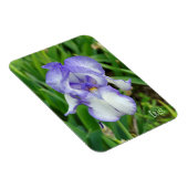 Blue Iris Magnet (Rechte Seite)