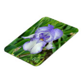 Blue Iris Magnet (Linke Seite)