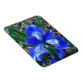 Blue Iris Magnet (Rechte Seite)