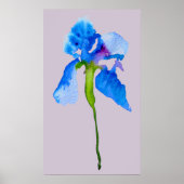 Blue Iris moderne Aquarellkunst Poster (Vorne)